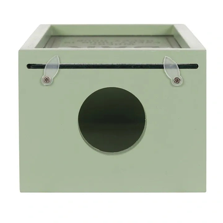 Wooden beer opener, bottle top storage