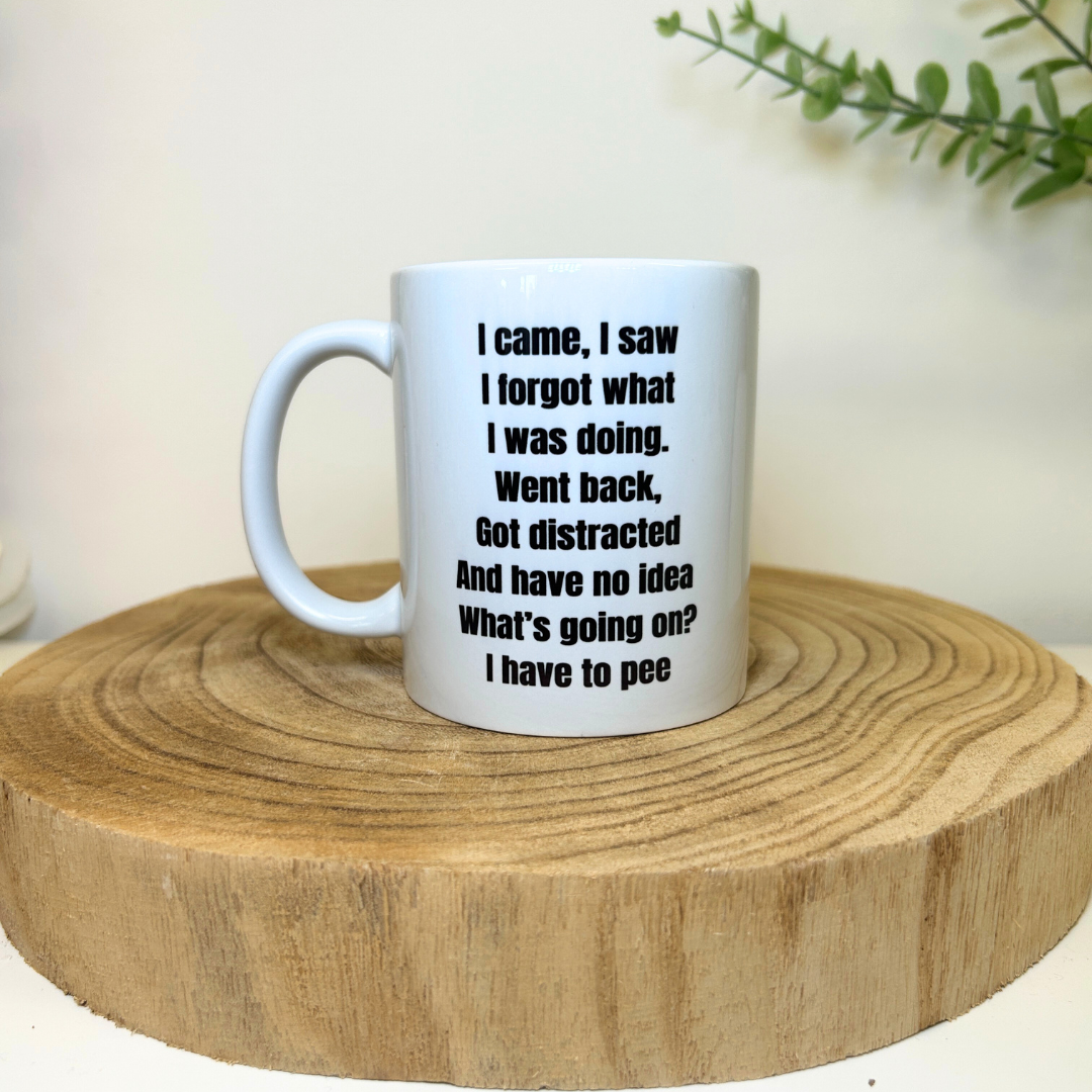 Funny novelty mug - I came, I saw